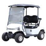 Marshell DG-J2 Golf Cart Elettrico a 2 Posti