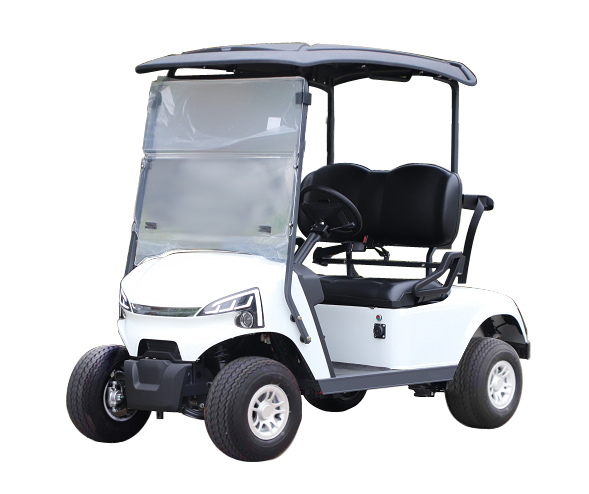Marshell DG-J2 Golf Cart Elettrico a 2 Posti