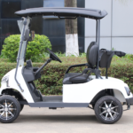 Marshell DG-J2 Golf Cart Elettrico a 2 Posti
