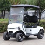 Marshell DG-J2 Golf Cart Elettrico a 2 Posti