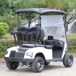 Marshell DG-J2 Golf Cart Elettrico a 2 Posti